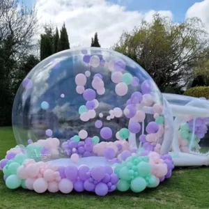 Inflatable Bubble Bounce House for Kids
