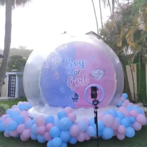 Inflatable Transparent Bubble Dome Snow Ball Decoration
