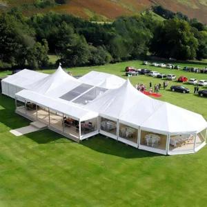 Large Aluminum Frame Party Tent 30x50m Heavy Duty 850g PVC Waterproof & Fireproof for Wedding Event Exhibition