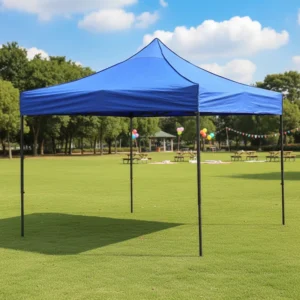 Manufacturer Outdoor Canopy Tent 10×10 Awning Carpas 3×3 Gazebo Garden Tents for Events