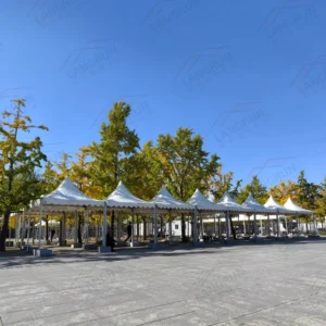 Marquee White Party Tent for Outdoor Wedding Event Custom Color Custom Logo Aluminum Tent