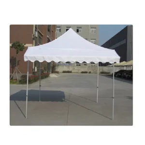 Outdoor 3×3 Meter Trade Show Tent Manufacturer Price Heat Transfer Printing on Polyester Fabric for Marquee Use