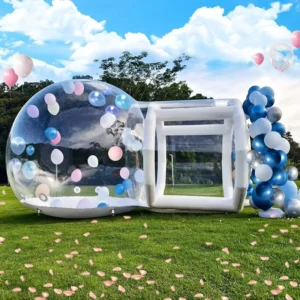 Outdoor Camping Clear Transparent PVC Waterproof Globe Igloo Dome Tent Kids Party Advertising Inflatable Bubble House UV Printed