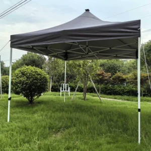 Outdoor Canopy Tent Frame for Parties