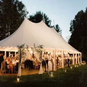 Outdoor Large Party Tent Activity Pole Tent Wedding Tent 100 Person Portable Durable Stretch Clear Easy Setup