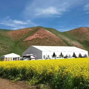 Outdoor Party Tent for Events with Aluminum Structure, Easy Assemble Wedding Canopy