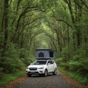 Outdoor Rooftop Tent Camping 4×4 ABS Hard Shell Fiberglass Roof Top Tent With Camper Ladder