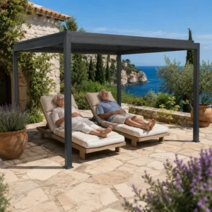 Outdoor Sunroom Gazebo Pergola Canopy, 3×4 m or 5×6 m, Driveway Carport Cover