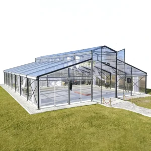 Outdoor Transparent Aluminum Wedding Tent With Clear Roof Marquee