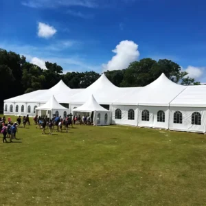 Outdoor Waterproof Wedding Party Marquee Tent, Ceremony Banquet Event Tent with Quick Erection and Easy Assembly
