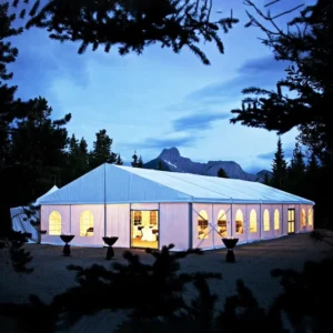 Outdoor Windproof Aluminum Frame Church Marquee Wedding Event Tent, White Clear PVC, for 200-300 People