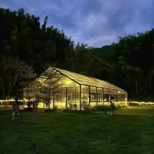PVC Clear Tent White Black Aluminum Frame Big Wedding Marquee Outdoor Luxury Ceremony Atrium Tent
