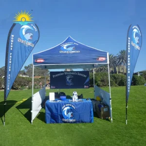 Fast Delivery Printing Canopy Advertising Tent 3×3 10×10 Gazebo Canopy Replacement Trade Show Tent for Business Event