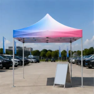 Premium Quality 10x10ft 3x3m Portable Waterproof Oxford Fabric Marquee Windows Door Commercial Professional Advertising Tent