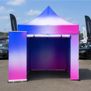 Premium Quality 10x10ft/3x3m Portable Waterproof Oxford Fabric Marquee Windows Door Commercial Professional Advertising Tent