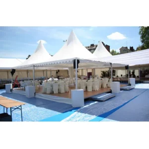 Royal Wedding Suspended Ceiling Drape Wedding Party Tent