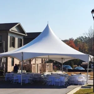 Supply Dia 30ft Waterproof Wedding Party Tent Festival Hexagon Outdoor Event Tents