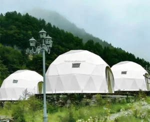 The Ultimate Outdoor Venue for Celebrations Starry Nights and Viral Photo Backdrops INS-Worthy Geodesic Dome Tent