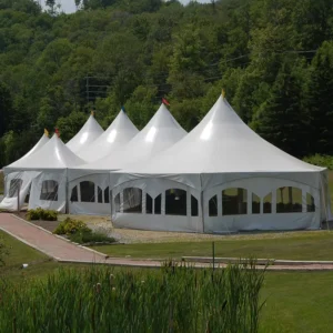 Transparent 20×30 Wedding Event Party Tent for 50 100 150 200 300 500 1000 People