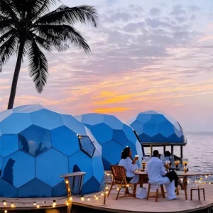 Transparent 6m Spherical Hotel Tent for Scenic Areas, Homestays, Camping, Catering, and Exhibitions