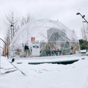 Transparent Bubble Outdoor Restaurant Catering Event Venue Soundproof Heat-Insulated Four-Season Dome Tent