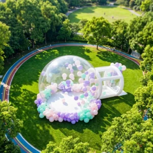Transparent PVC Inflatable Bubble House 4.8m Starry Sky Dome Tent Four Seasons with Blower for Party Camping Glamping