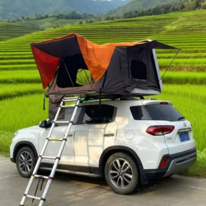 Waterproof Four-Season Double-Layer Rooftop Tent for 1-2 People with Soft Roof and Aluminum Poles