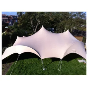 Waterproof Stretch Wedding Tents 50 Person Carnival Tents for Party Events