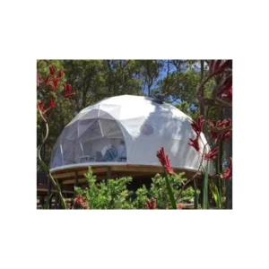 Waterproof Wind-Resistant PVC Event Party Dome Tent